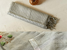 Kopal ✲ Handloom Linen Saree - Hand Embroidered - Light Pista Green