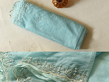 Kopal ✲ Handloom Organza Saree - Hand Embroidered Glass Beads