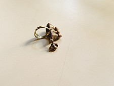 Kanupriya || Banjara Ring