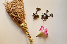 Kanupriya || Banjara Jewelry - Jhumka Earring