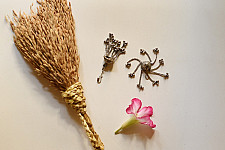 Kanupriya || Banjara Jewelry - Earring