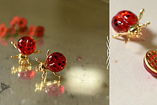 Kusumaprabha . कुसुमांप्रभा ✤ Glass Earring - Ladybug