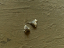 Dhara . धरा | White Metal - Small Jhumka Earring ( Two Color Options )