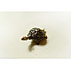 buy Handmade Brass Dhokra -Kachhua / Tortoise