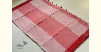 Avanti ✽ Handloom Cotton Saree - Off White & Red