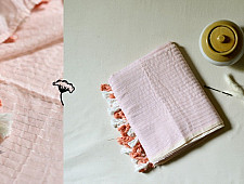 Avanti ✽ Handloom Cotton Saree - Peach