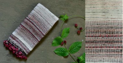 Beyond The Basics ✜ Handwoven Bhujodi Cotton & Tussar Silk Stole ✜ 19