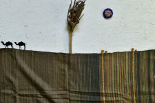 Breezy Mangroves ❧ Handwoven Bhujodi Cotton Tussar Silk Dupatta ☙ 12