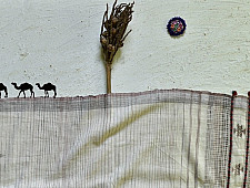 Breezy Mangroves ❧ Handwoven Bhujodi Kala Cotton Dupatta ☙ 7