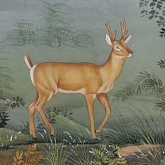 Miniature Painting | Hiran / Deer