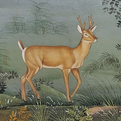 Miniature Painting | Hiran / Deer
