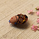 Shop Handmade Brooch Pin -Frida Kahlo Brooch