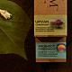 Shop Dhoop Cones ~ Handcrafted With Natural Herbs ( Set of Two) 