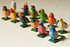 Wooden Non Toxic Toys | Birds ( Set of 12 )