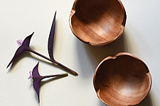 Wooden Cutlery ✼ Bowl ( Set of Two )