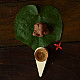 Shop Hawan Guggal + Loban Guggal ~ Incense Cups ( Set of Two) 