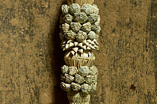 Khajuri . खजुरी  ▣ Date Leaves Broom ▣ Wall Hanging ▣ 5
