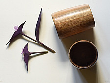 Wooden Cutlery ✼ Glasses (Set of Two)