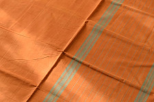 Rojana | Handloom Andhra Cotton Saree - Orange