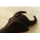 shop handmade wooden mask - nandi