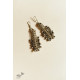 shop Handmade Vintage Jewelry -Long Earring with Goongru