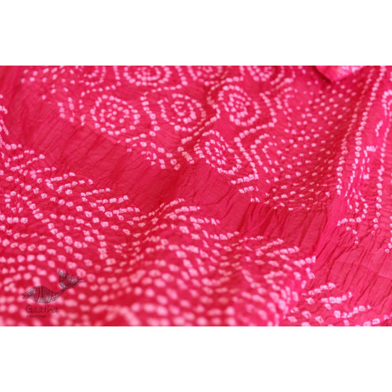 Twinkle drops ❈ Bandhani Saree . Zari Border ❈ 12