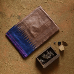 Kamakshi | Pure Tussar Silk Saree - Silver Brown With Blue Border