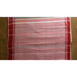 Mahuaa . महुआ | Handloom Baiga Tribal Saree - Off White