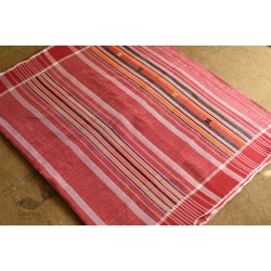 Mahuaa . महुआ | Handloom Baiga Adivasi Saree - Red