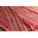 shop handloom cotton Baiga Adivasi Saree