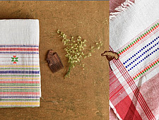 Mahuaa . महुआ | Handloom Baiga Aadivasi Cotton By Wool Saree - Light Grey