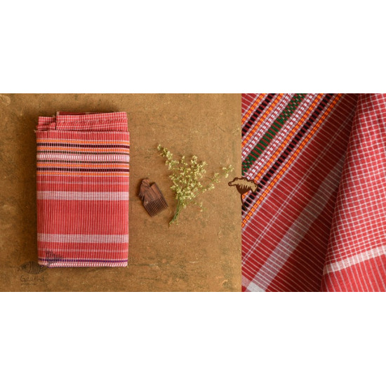 shop handloom cotton Baiga Adivasi Saree