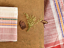 Mahuaa . महुआ | Handloom Baiga Tribal Cotton By Wool Saree