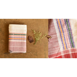 Mahuaa . महुआ | Handloom Baiga Tribal Cotton By Wool Saree