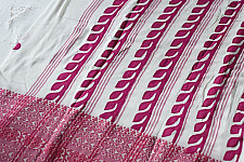 Ramaa . रमा | Applique on Cotton Saree