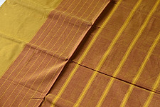 Rojana | Handloom Andhra Cotton Saree With Resham Border