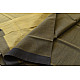 Handwoven cotton saree |  from Andhra Pradesh - Light Yellow