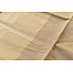 Handwoven cotton saree |  from Andhra Pradesh - Off White