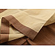 Handwoven cotton saree |  from Andhra Pradesh - Off White