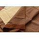 Handwoven cotton saree |  from Andhra Pradesh - Off White