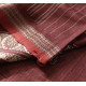 shop Pure Tussar Silk Saree - Jaal Pallu