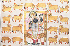 Pichwai Painting - Shrinathji With Golden Cows