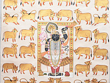 Pichwai Painting - Shrinathji With Golden Cows