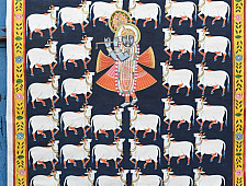 Pichwai Painting - Shrinathji & White cows