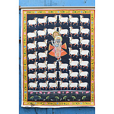 Pichwai Painting - Shrinathji & White cows