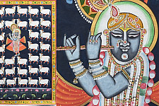 Pichwai Painting - Shrinathji & White cows