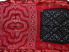 Faagun . फाल्गुन  ⁂ Cotton Bandhani Saree ⁂ 9