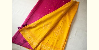 Ramaa . रमा | Hand Embroidered & Block Printed Silk Saree 