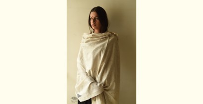 Pasham | Pashmina Kashmiri Shawl ~ Sozni Jamawar Embroidery - White on White