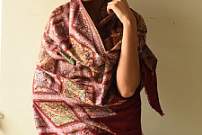 Pasham | Pashmina Shawl - Sozni Jamawar Embroidery - (One of a kind)